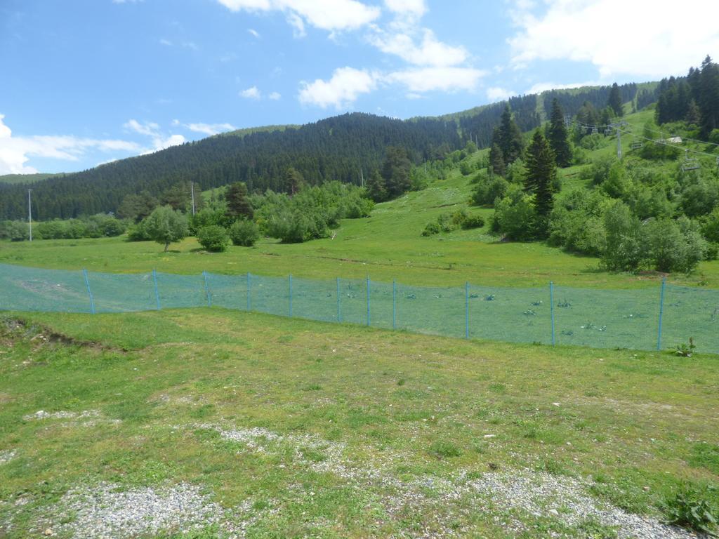 Hotel Hatsvali Mestia Luaran gambar